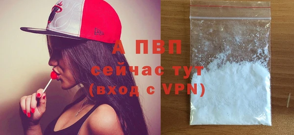 PSILOCYBIN Нефтегорск