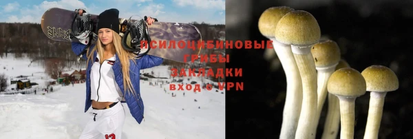 крисы Наволоки
