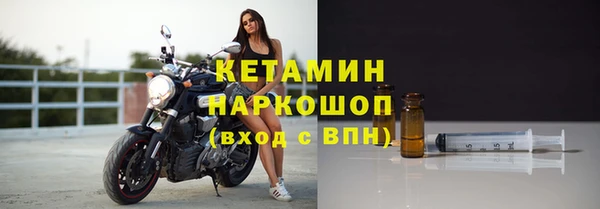 крисы Наволоки
