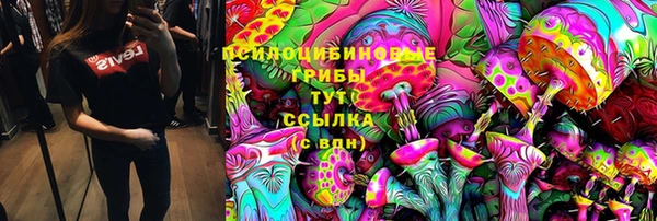 винт Надым