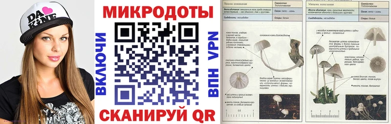 Псилоцибиновые грибы MAGIC MUSHROOMS  blacksprut ссылка  Краснозаводск 